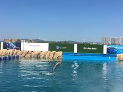 -三亚海昌梦幻海洋不夜城