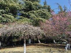 -白塘生态植物园