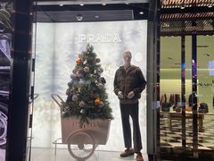 -PRADA普拉达(国际广场店)