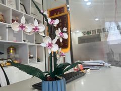 -同步齿科·数字化正畸种植口腔中心(珠海店)