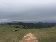 -大姆山草场