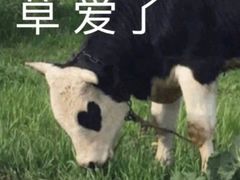 -洪大厨鸡煲(福田店)