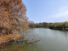 -上海海湾国家森林公园