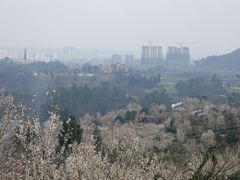 -樱桃山旅游景区