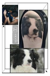 -幸运7纹身刺青Lucky7tattoo