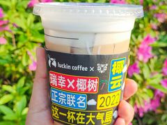 -瑞幸咖啡(岳家嘴地铁站店)