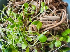 -大张肉饼店(新开街店)