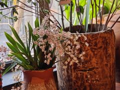 -一坐一忘云南菜(三里屯店)