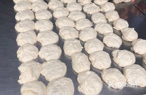 Oil Cake Mold