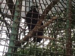 -吉林市朱雀山国家森林公园
