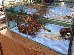 -旺顺阁海鲜广场(亚运村店)