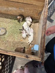 -酷嗒动物文化乐园(cutezoo西溪乐天城店)