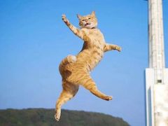 -百姓百味海鲜酒楼(粤垦路总店)