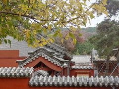 -普照寺