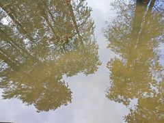 -四明湖