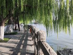 -济南大明湖景区