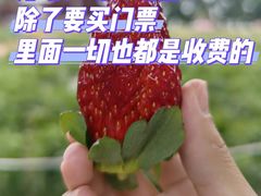 -光明农场大观园