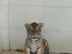 -宁波野生动物园