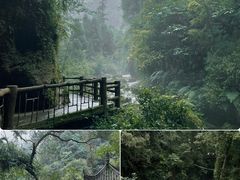 -峨眉山风景名胜区
