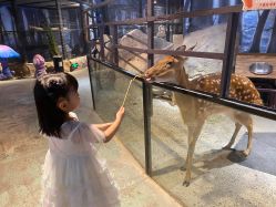 -酷嗒动物文化乐园(cutezoo西溪乐天城店)