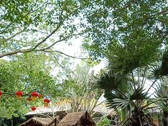 -海南热带野生动植物园