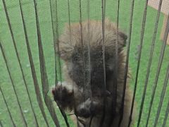 -pd派德宠物中心医院24H急重症·眼科中心·血液透析中心(嵩山北路店)