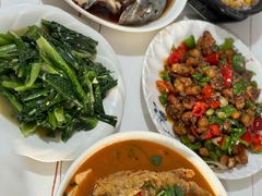 -煲来饱去冷水鱼