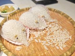 -点都德·毕德寮
