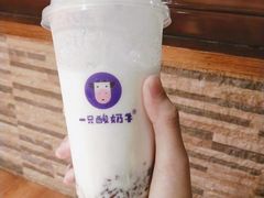 -一只酸奶牛(八一路店)