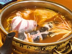 红酸汤锅底-酸喜·三度酸·贵州味