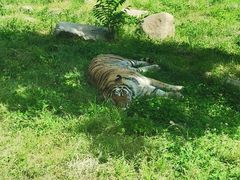 -西安秦岭野生动物园
