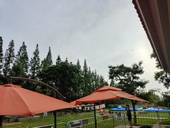 -前小桔亲子创意农场·草莓采摘·露营烧烤