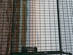 -广州白云国际机场-T2航站楼