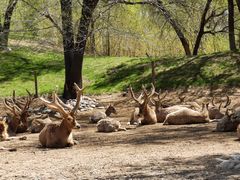 -北京野生动物园