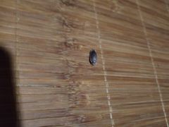 -汤沐邑温泉会馆