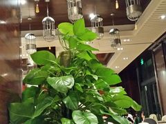 -千岛湖君澜度假酒店(文广轩中餐厅)