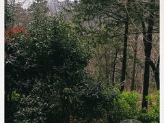 -青岛崂山太清宫