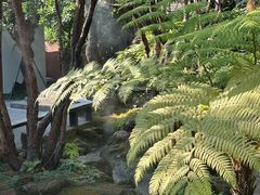 -Chom Cafe and Restaurant