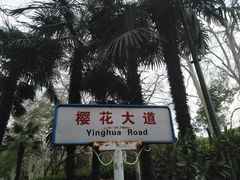-武汉大学-樱园