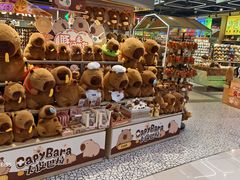 -凯德广场(学府店)