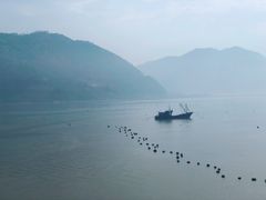 -北岐滩涂