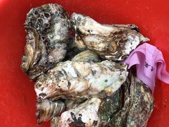 -蚝专家(北滘店)