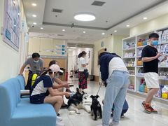 -美联众合动物医院·24h京西诊疗中心