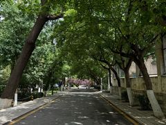 -山东师范大学(千佛山校区)