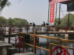 -东方巨龟苑景区