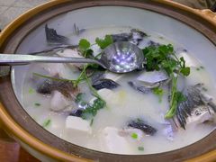 -全乐鱼馆·淳牌有机鱼直营店