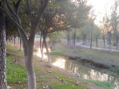 -艾溪湖湿地公园