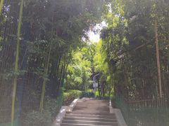 -西安市长乐公园