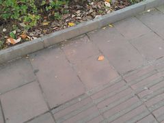 -贵州师范大学(宝山北路校区)