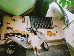 -懒鱼时光馆(沙坪坝店)